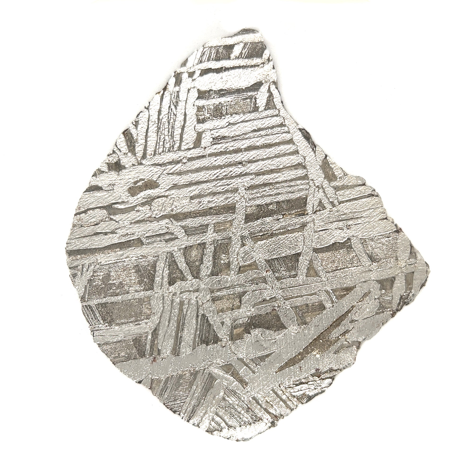 Gibeon Meteorite Large Slice