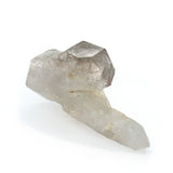 Tibetan Quartz Scepter Specimen
