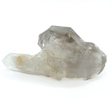 Tibetan Quartz Scepter Specimen