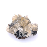 Calcite Tooth Specimen