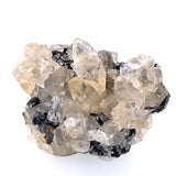 Calcite Tooth Specimen