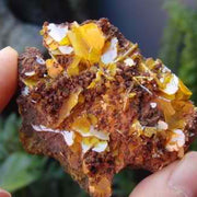 Wulfenite