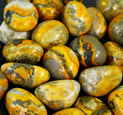 Bumble Bee Jasper