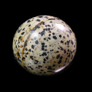 Dalmatian Jasper