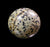 Dalmatian Jasper