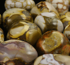 Ocean Jasper