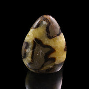 Septarian Nodule