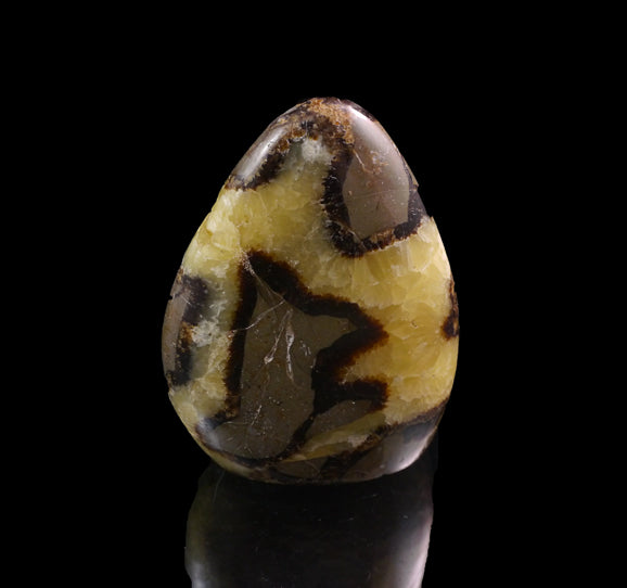 Septarian Nodule Healing Properties