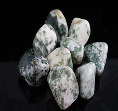 Tree Agate