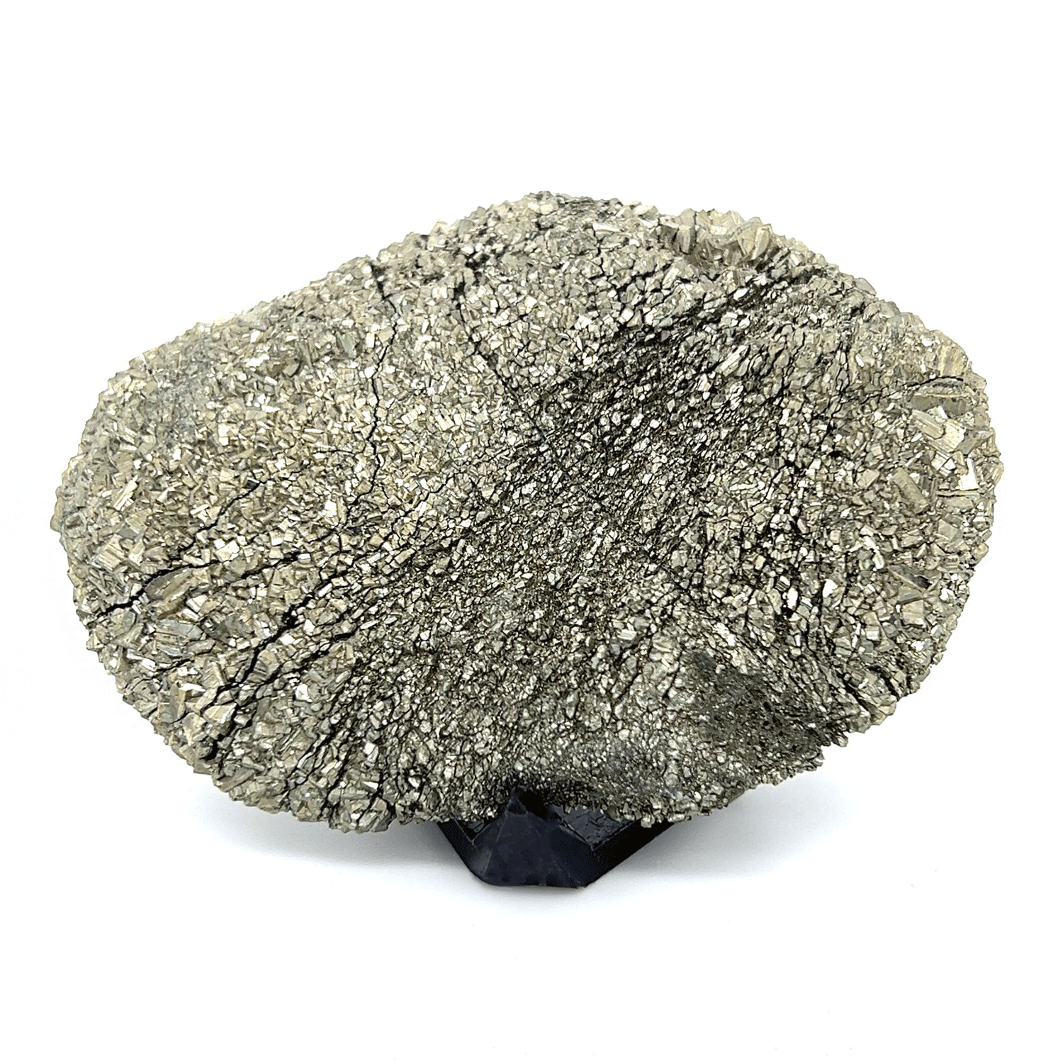 Nodular Pyrite Specimen