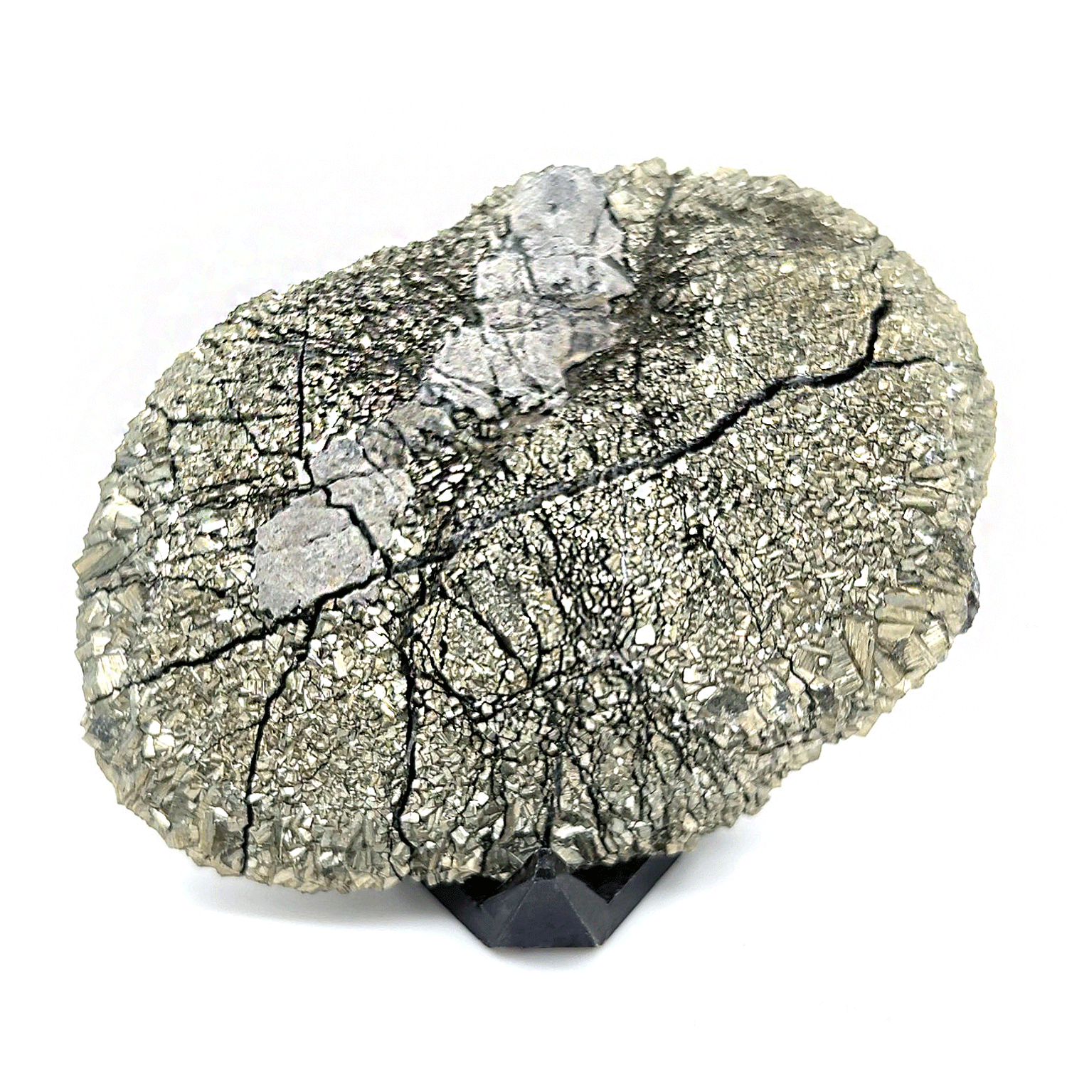 Nodular Pyrite Specimen