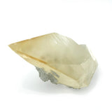 Large Calcite Dogtooth