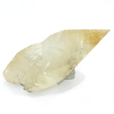 Large Calcite Dogtooth