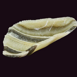 Zebra Calcite Dish - small