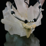 Shark Tooth Pendant