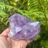 Phantom Amethyst Cathedral Cluster