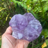 Phantom Amethyst Cathedral Cluster