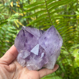 Phantom Amethyst Cathedral Cluster