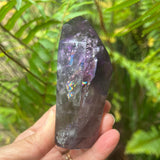 A hand holding a raw purple amethyst crystal point with visible internal inclusions and a small iridescent rainbow area, set against a blurred background of green fern leaves.