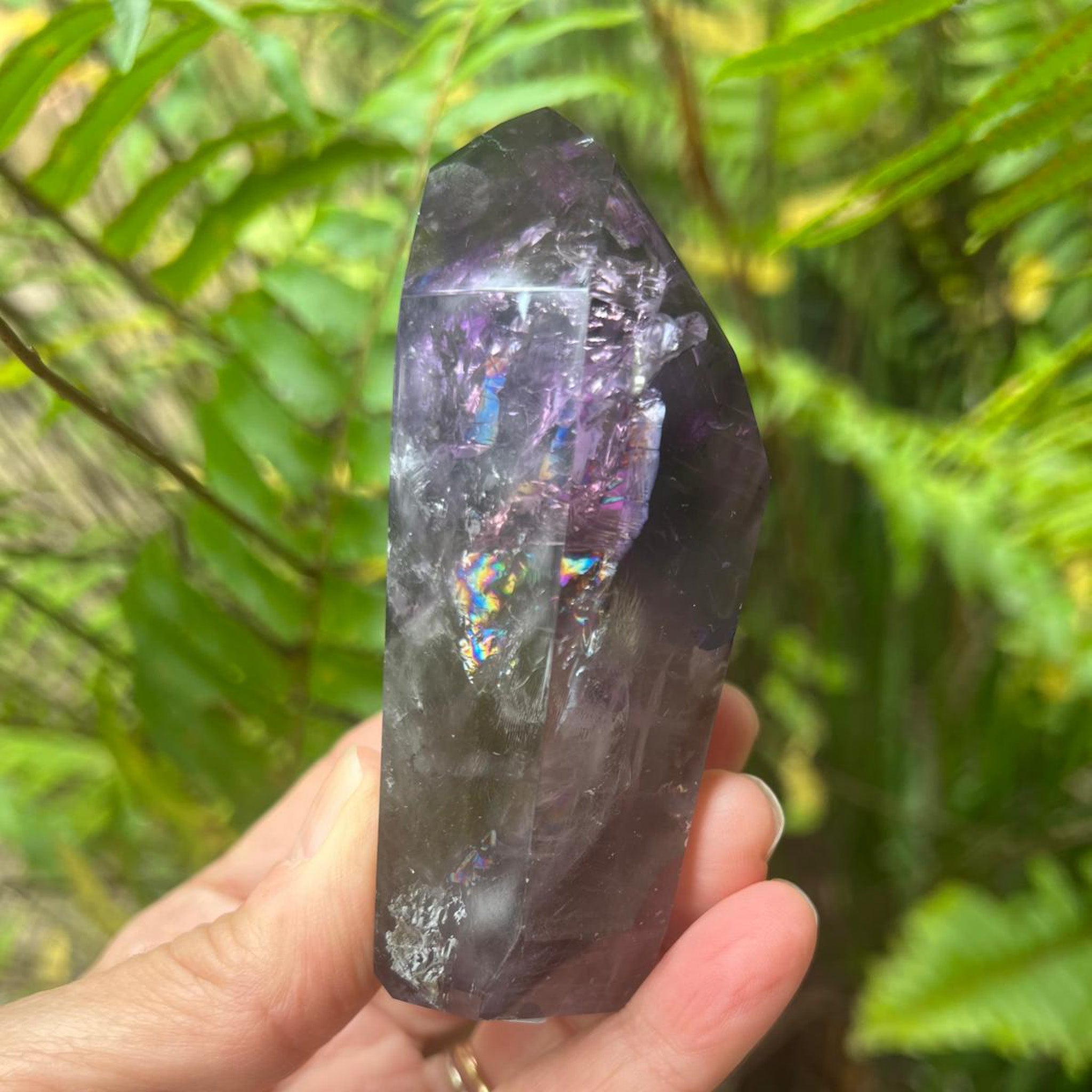A hand holding a raw purple amethyst crystal point with visible internal inclusions and a small iridescent rainbow area, set against a blurred background of green fern leaves.