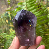 A hand holding a faceted purple crystal point, likely amethyst, with a blurred green fern background.