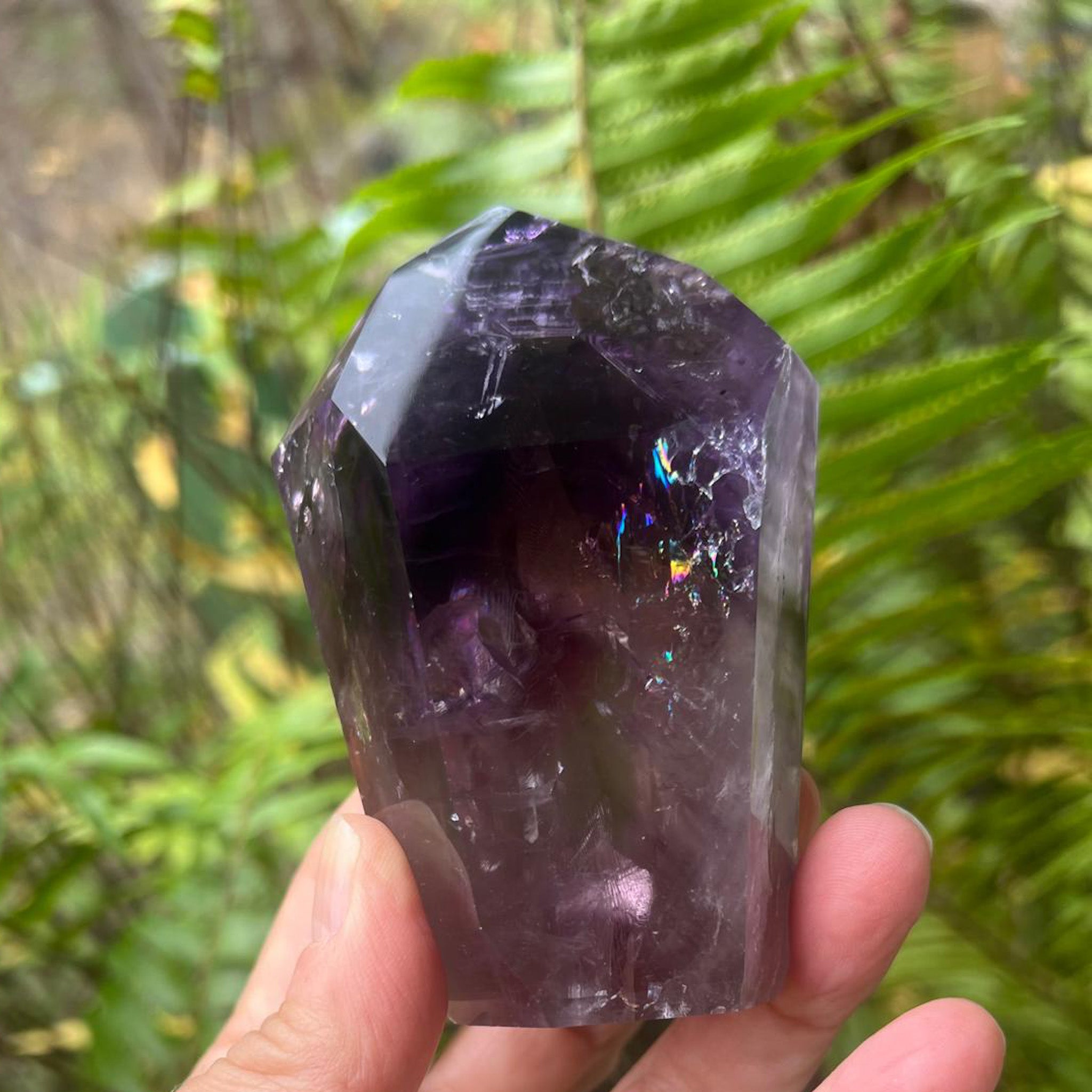 A hand holding a faceted purple crystal point, likely amethyst, with a blurred green fern background.