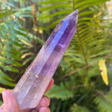 A hand holding a natural amethyst crystal tower point with a smooth purple gradient, set against a blurred background of green fern leaves in natural light. 