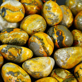 Bumble Bee Jasper Tumbled Stone