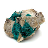 Dioptase Raw Specimen