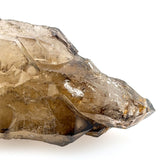 Elestial Smoky Quartz Specimen