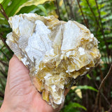Yellow Muscovite Specimen