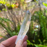 Colombian Lemurian Laser