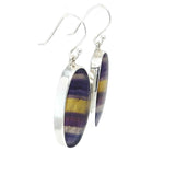 Rainbow Fluorite Drop Earrings