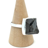 Raw Shungite Ring