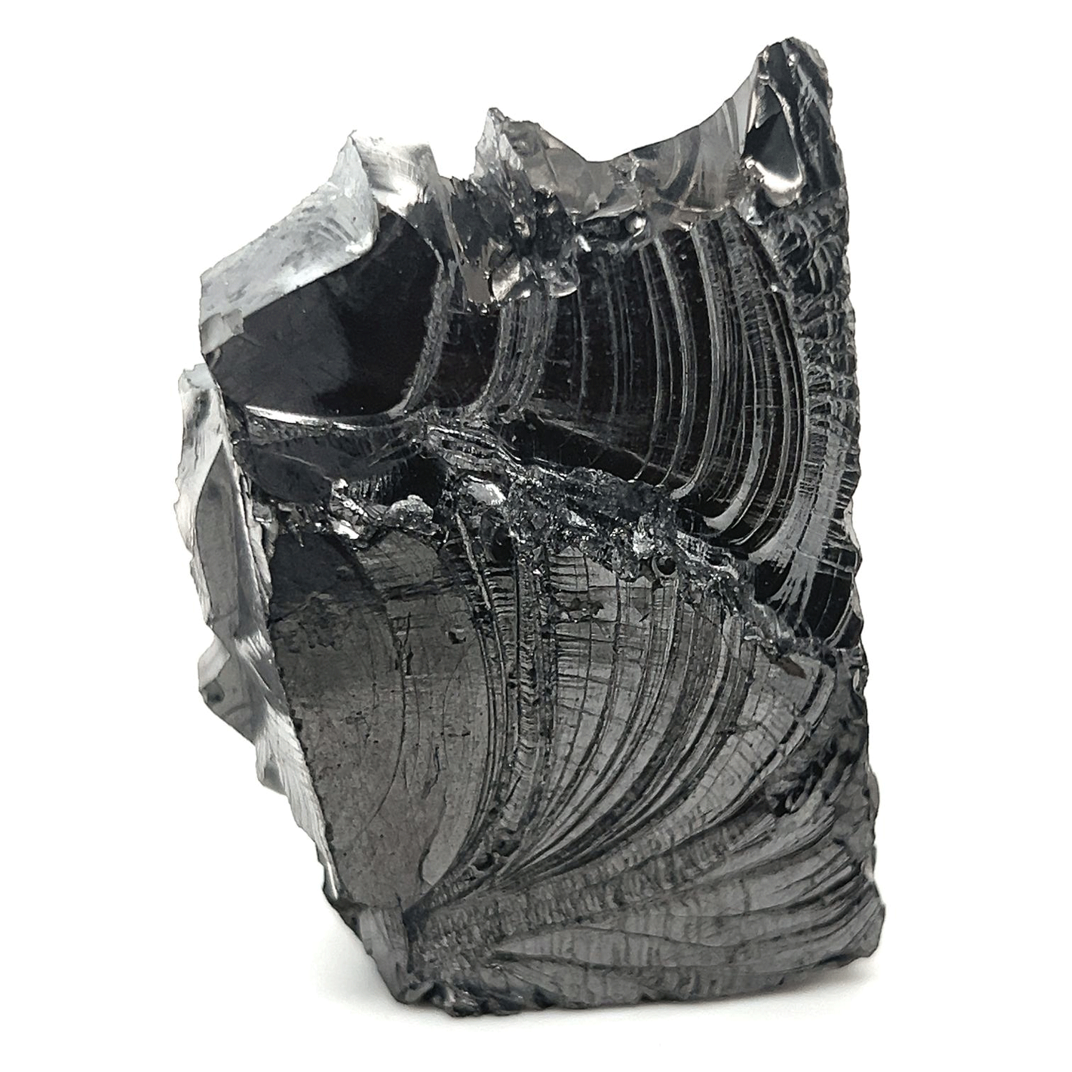 Raw Statement Silver Shungite Specimen