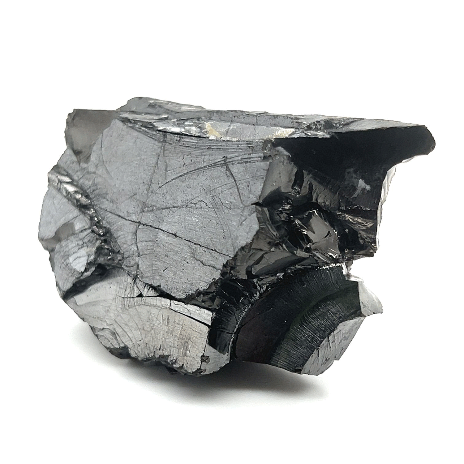 Raw Statement Silver Shungite Specimen