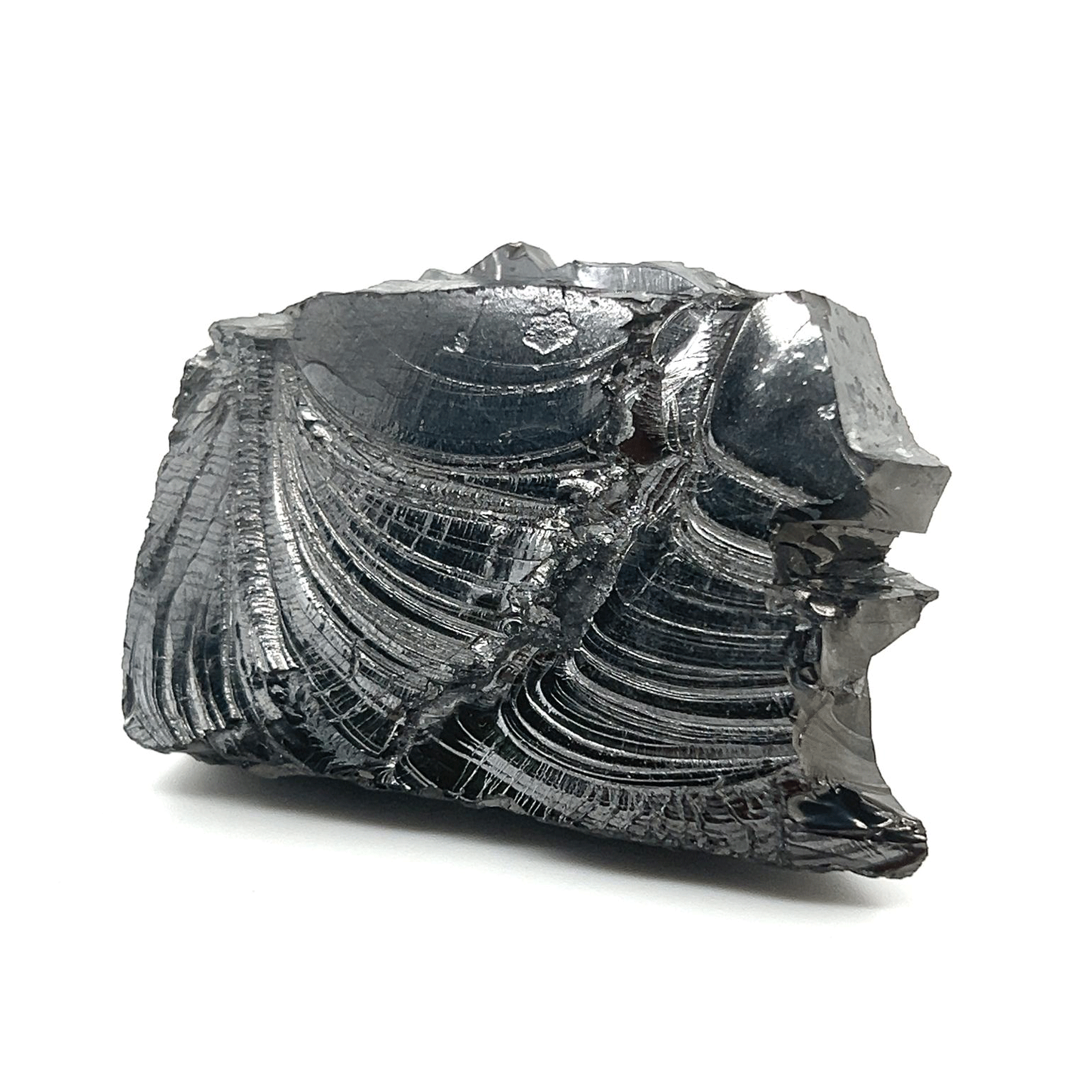 Raw Statement Silver Shungite Specimen