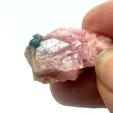 Rhodochrosite Raw Specimen