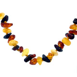 Baby Amber Multi Colour Chip Necklace