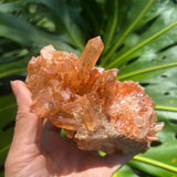 Tangerine Quartz Cluster from Brazil