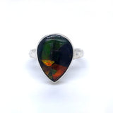 Ammolite Silver Ring