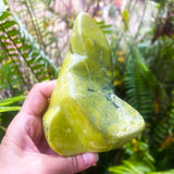 Serpentine Free Form
