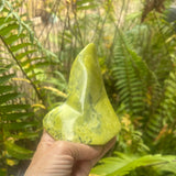 Serpentine Free Form