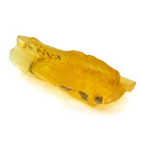 Small Natural Colombian Copal Specimen
