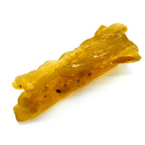 Natural Colombian Copal Resin Specimen