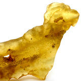 Natural Colombian Copal Resin Specimen