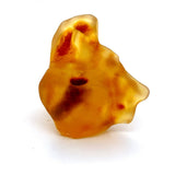 Colombian Copal Amber Specimen