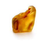 Colombian Copal Amber Specimen