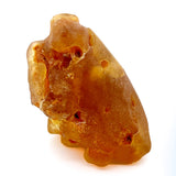 Natural Colombian Copal Resin Specimen