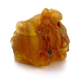 Natural Colombian Copal Resin Specimen